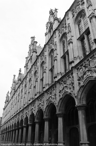 Mechelen Town Hall, Ornate Facade, Belgium Picture Board by Imladris 