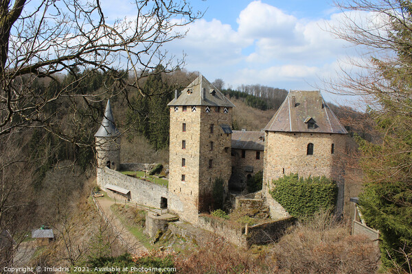 Reinhardstein Castle, near Malmedy, Belgium Picture Board by Imladris 