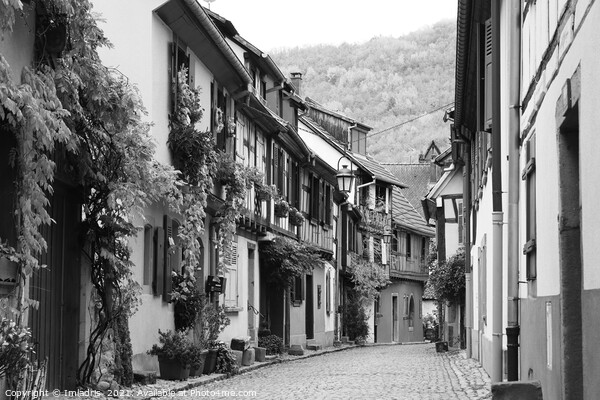 Quaint Street, Kaysersberg, Alsace, France Picture Board by Imladris 