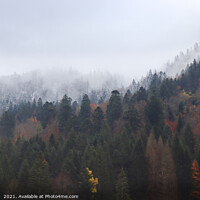 Buy canvas prints of Autumn turns to Winter, Vosges Mountains, France by Imladris 