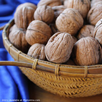 Buy canvas prints of Walnuts in a basket with blue tablecloth by Imladris 