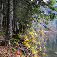 Buy canvas prints of Lac des Corbeaux in Autumn, France by Imladris 