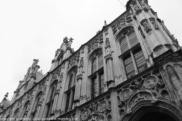 Historic Facade, Mechelen, Belgium Picture Board by Imladris 