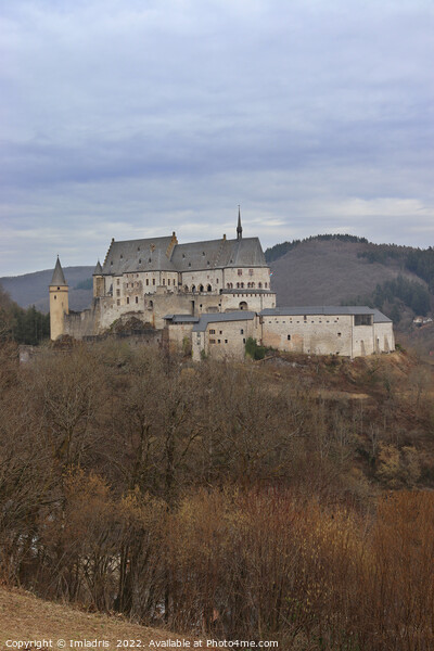 Vianden Castle View, Luxembourg. Picture Board by Imladris 