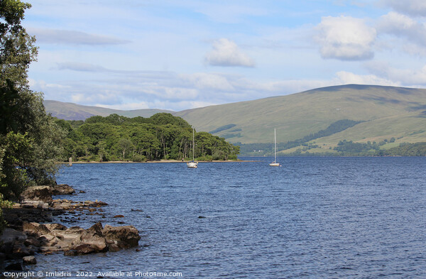 Loch Tay View, Morenish, Scotland Picture Board by Imladris 