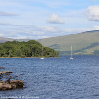 Buy canvas prints of Loch Tay View, Morenish, Scotland by Imladris 
