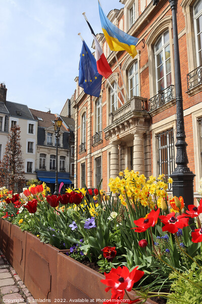 Town Hall, Boulogne-sur-Mer, France Picture Board by Imladris 