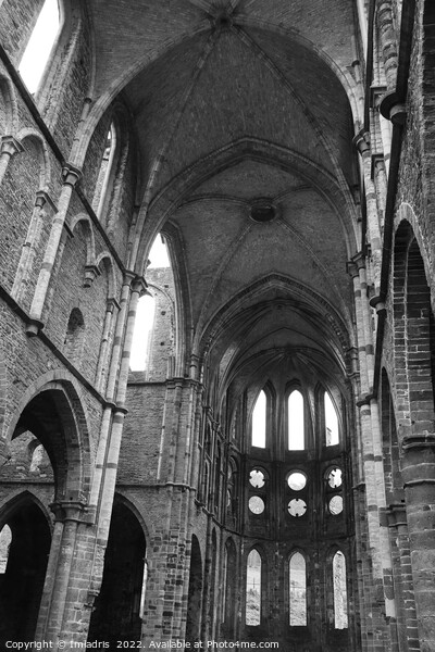Church Ruins Villers Abbey, Belgium Picture Board by Imladris 