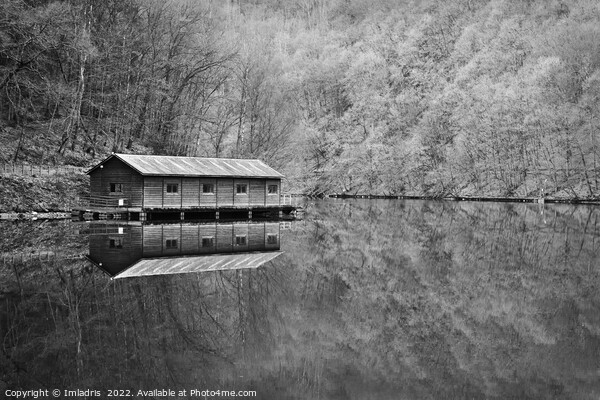 Nisramont Lake, La Roche en Ardennes, Belgium Picture Board by Imladris 