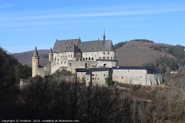 Vianden Castle Winter View, Luxembourg Picture Board by Imladris 