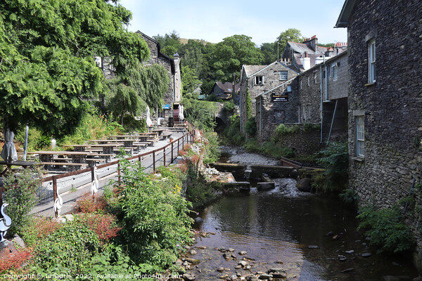 Stock Ghyll View, Ambleside, England Picture Board by Imladris 