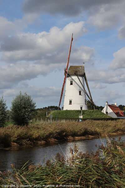 Schellemolen Windmill, Damme, Belgium Picture Board by Imladris 
