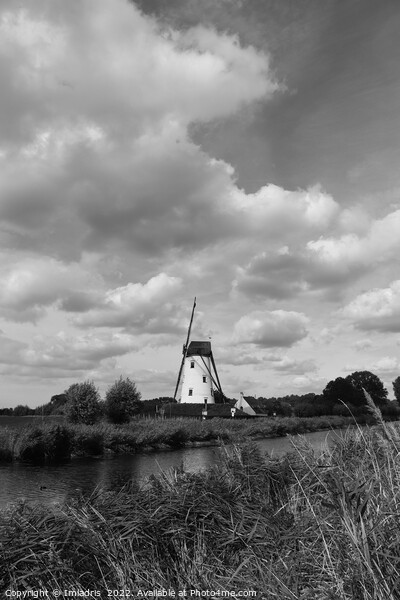 Schelle Windmill Mono, Damme, Belgium Picture Board by Imladris 