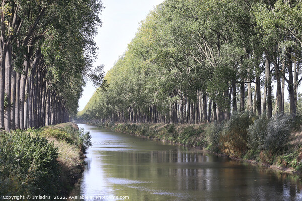 Schipdonk Canal near Damme, Belgium Picture Board by Imladris 