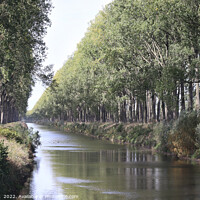 Buy canvas prints of Schipdonk Canal near Damme, Belgium by Imladris 