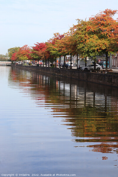 River Dender Autumn View, Aalst, Belgium Picture Board by Imladris 