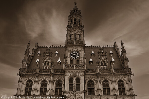 Oudenaarde Town Hall Facade Sepia Picture Board by Imladris 