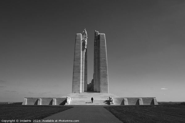 Canadian National Memorial, Vimy Ridge, Monochrome Picture Board by Imladris 