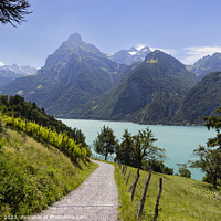 Buy canvas prints of Path to Beautiful Urnersee, Switzerland by Imladris 
