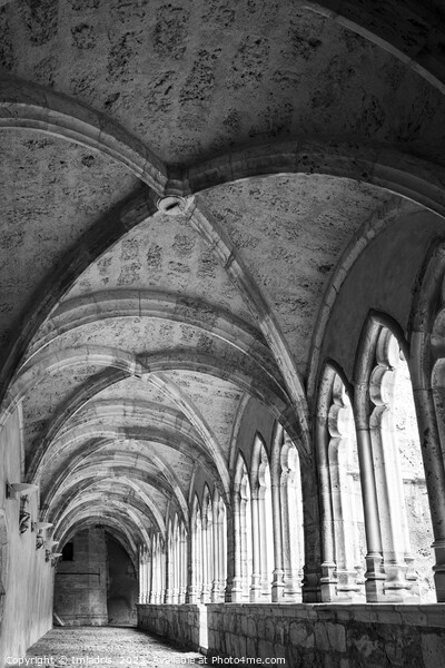 Cathedral Cloisters, Saint-Jean-de-Maurienne Picture Board by Imladris 