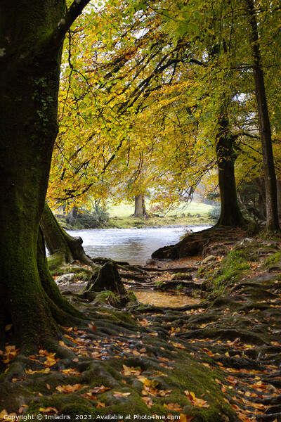 Autumn in Betws-y-coed, North Wales Picture Board by Imladris 