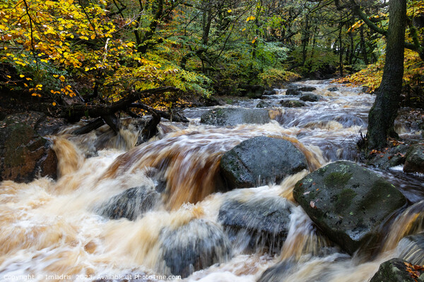 Burbage Brook in Full Spate, Padley Gorge, UK Picture Board by Imladris 
