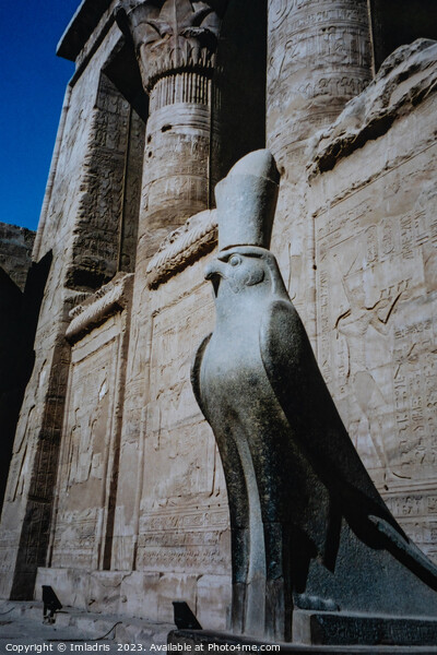 Statue of Horus, Edfu Temple, Egypt Picture Board by Imladris 