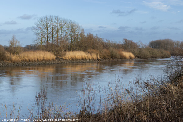 River Scheldt View, near Dendermonde, Belgium Picture Board by Imladris 