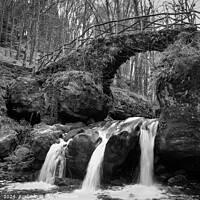 Buy canvas prints of Schiessentumpel Waterfall Luxembourg Monochrome by Imladris 