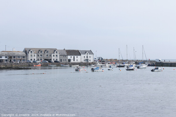 Port Rosnait, Isle of Whithorn, Scotland,  Picture Board by Imladris 