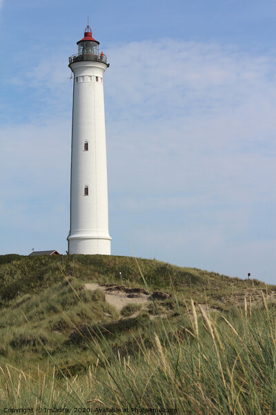 Lyngvig Fyr Lighthouse, Jutland, Denmark Picture Board by Imladris 