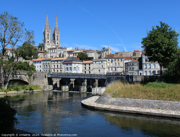 Niort Town and Sevre Niortaise River Picture Board by Imladris 