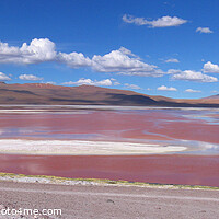 Buy canvas prints of Colorful Red Lake, Laguna Colorada, Bolivia by Imladris 