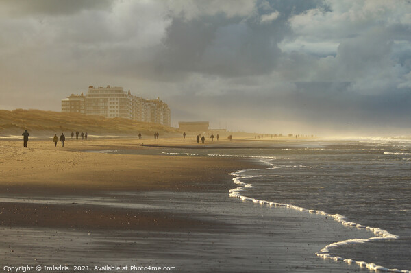 Winter at Wenduine, Belgian Coast Picture Board by Imladris 