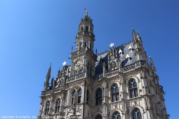 Oudenaarde Gothic Town Hall Belgium Picture Board by Imladris 