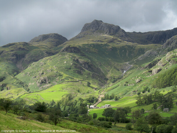 Great Langdale Valley, The Lake District, England Picture Board by Imladris 