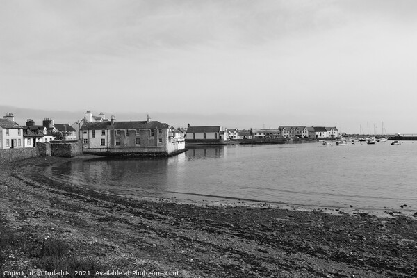 Isle of Whithorn Harbour, Scotland, Monochrome Picture Board by Imladris 