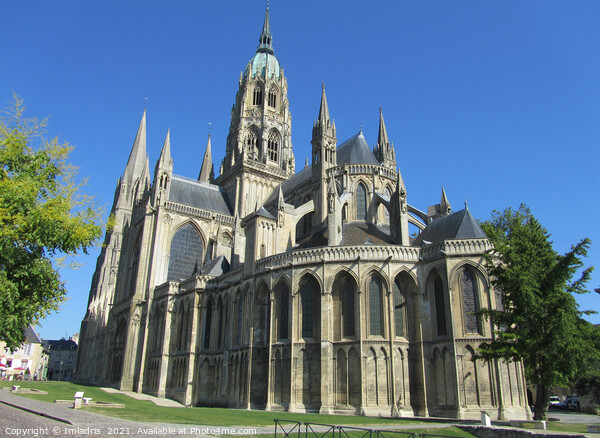 Notre Dame Cathedral, Bayeux, France Picture Board by Imladris 