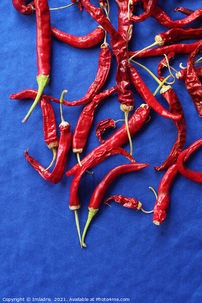 Red Chilli Peppers on Blue Picture Board by Imladris 