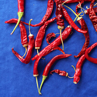 Buy canvas prints of Red Chilli Peppers on Blue by Imladris 