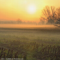 Buy canvas prints of Beautiful Winter Sunset, Gelderland, Netherlands by Imladris 