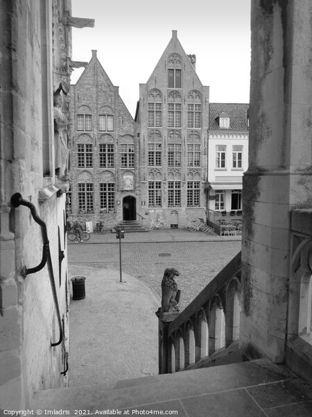 View from Damme Town Hall, Flanders, Belgium Picture Board by Imladris 