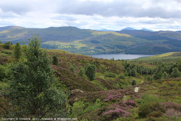 Edramucky Trail, Ben Lawers National Nature Reserv Picture Board by Imladris 