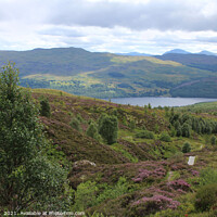 Buy canvas prints of Edramucky Trail, Ben Lawers National Nature Reserv by Imladris 