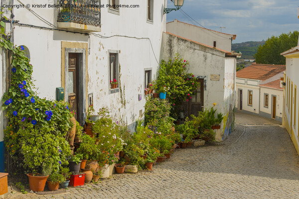 Colorful historical cobblestoned street in Aljezur, Portugal Picture Board by Kristof Bellens