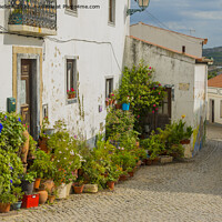 Buy canvas prints of Colorful historical cobblestoned street in Aljezur, Portugal by Kristof Bellens