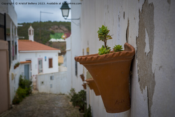 View on the streets of Alte, cozy village in the Algarve in Portugal. Picture Board by Kristof Bellens