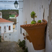 Buy canvas prints of View on the streets of Alte, cozy village in the Algarve in Portugal. by Kristof Bellens