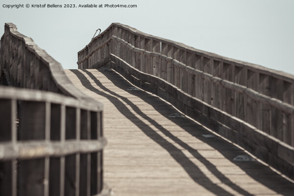 View on wooden elevated boardwalk for pedestrians. Picture Board by Kristof Bellens