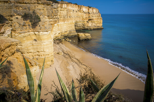 View on empty beach in Carvalho, Algarve, Portugal. Picture Board by Kristof Bellens